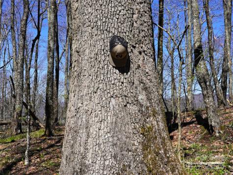 48 Benfield Road Weaverville NC 28787