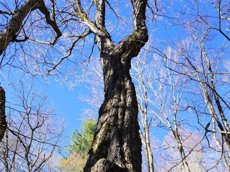 48 Benfield Road Weaverville NC 28787