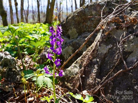 48 Benfield Road Weaverville NC 28787