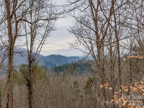 189 Sandys Home Place Mars Hill NC 28754