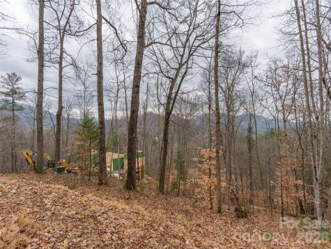 189 Sandys Home Place Mars Hill NC 28754