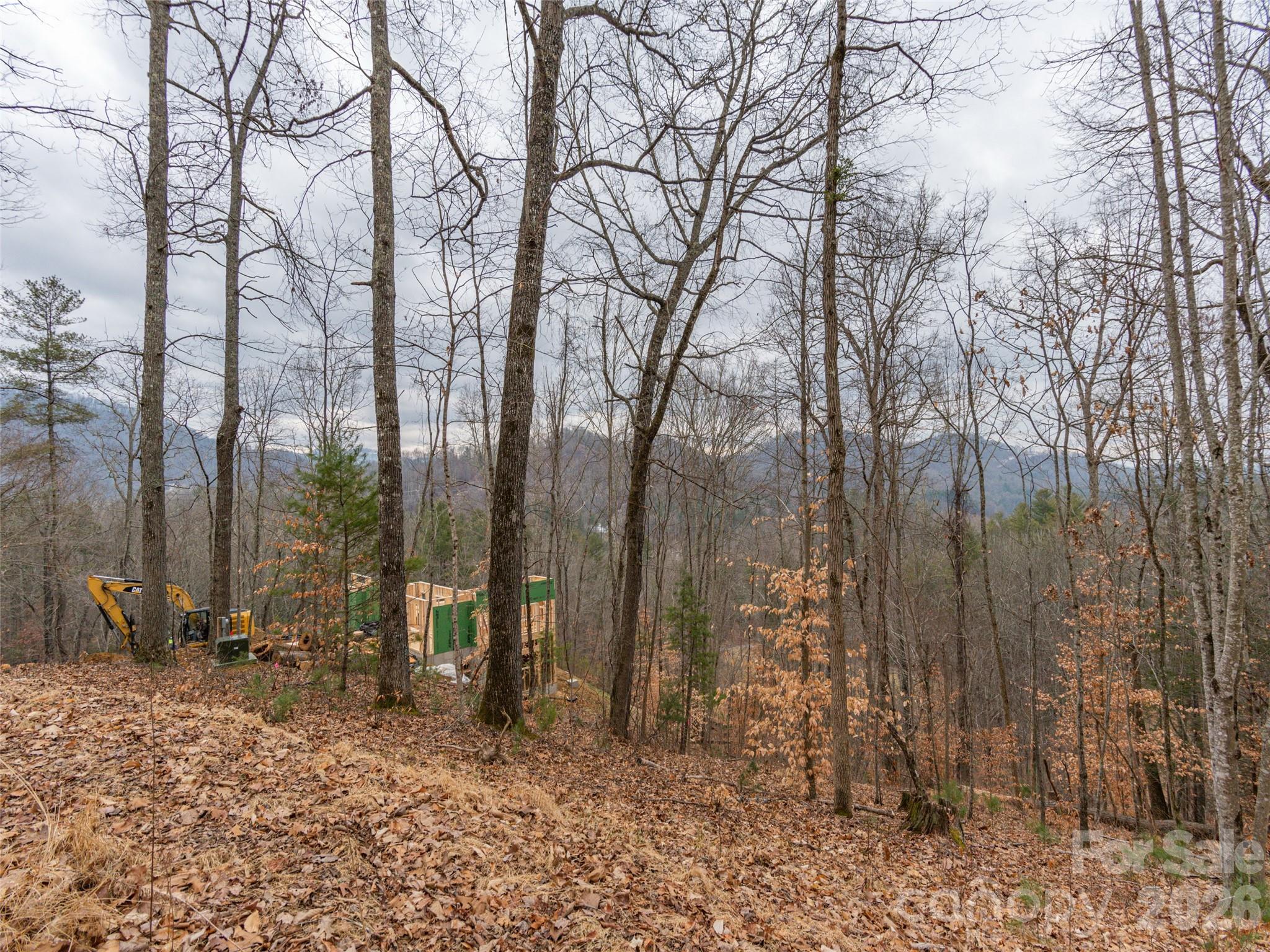 189 Sandys Home Place Mars Hill NC 28754
