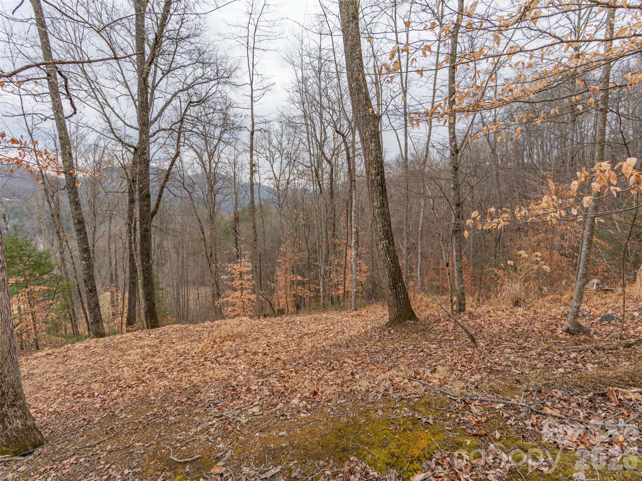 189 Sandys Home Place Mars Hill NC 28754