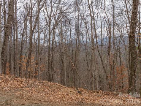189 Sandys Home Place Mars Hill NC 28754