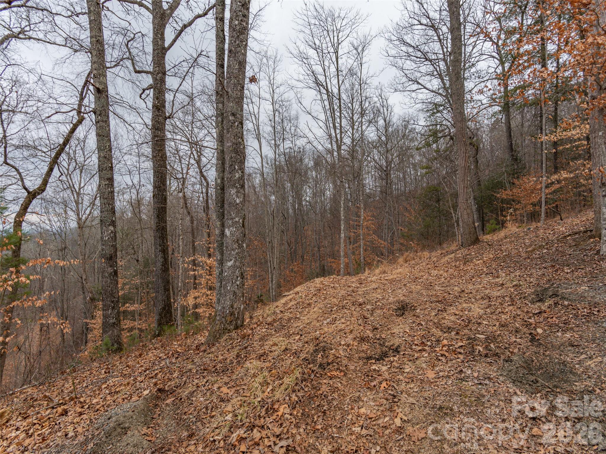 189 Sandys Home Place Mars Hill NC 28754