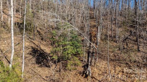 0 Round Rock Road Lenoir NC 28645