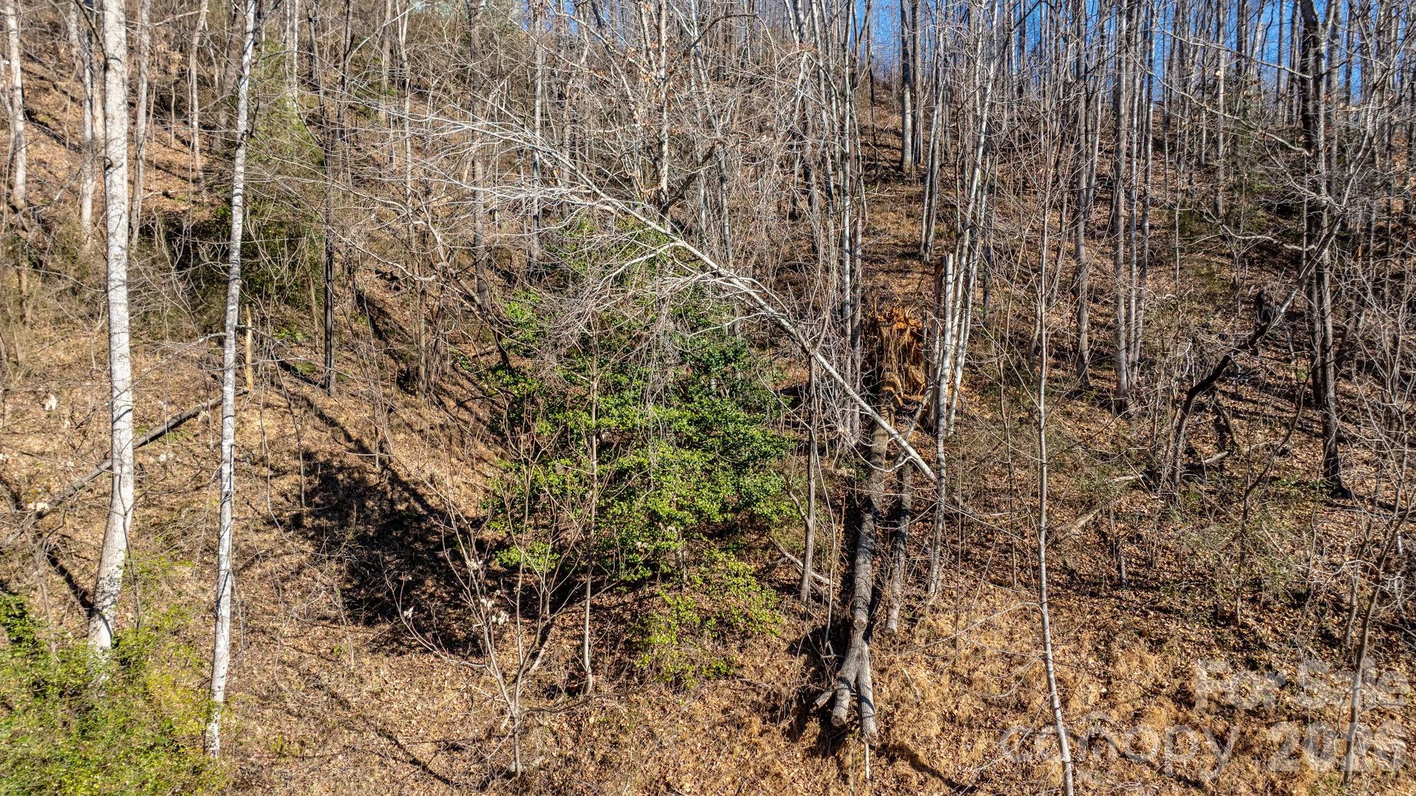 0 Round Rock Road Lenoir NC 28645