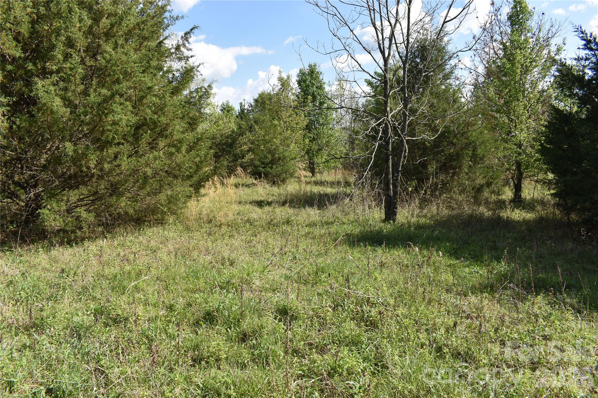 56 Malden Court Crouse NC 28033