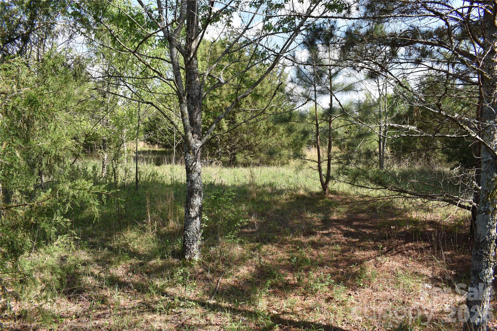 56 Malden Court Crouse NC 28033