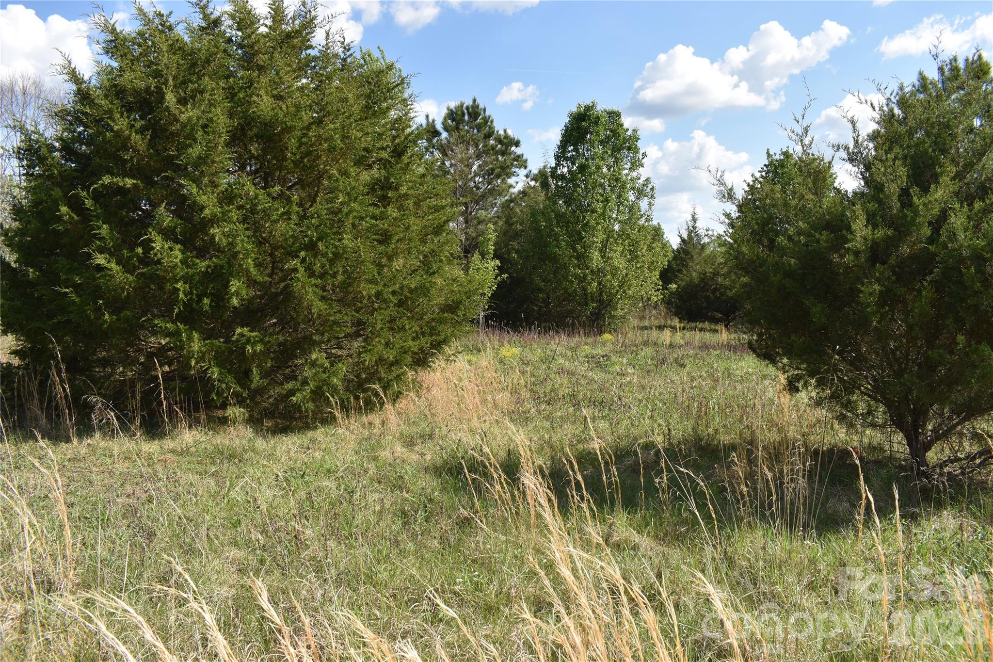 56 Malden Court Crouse NC 28033