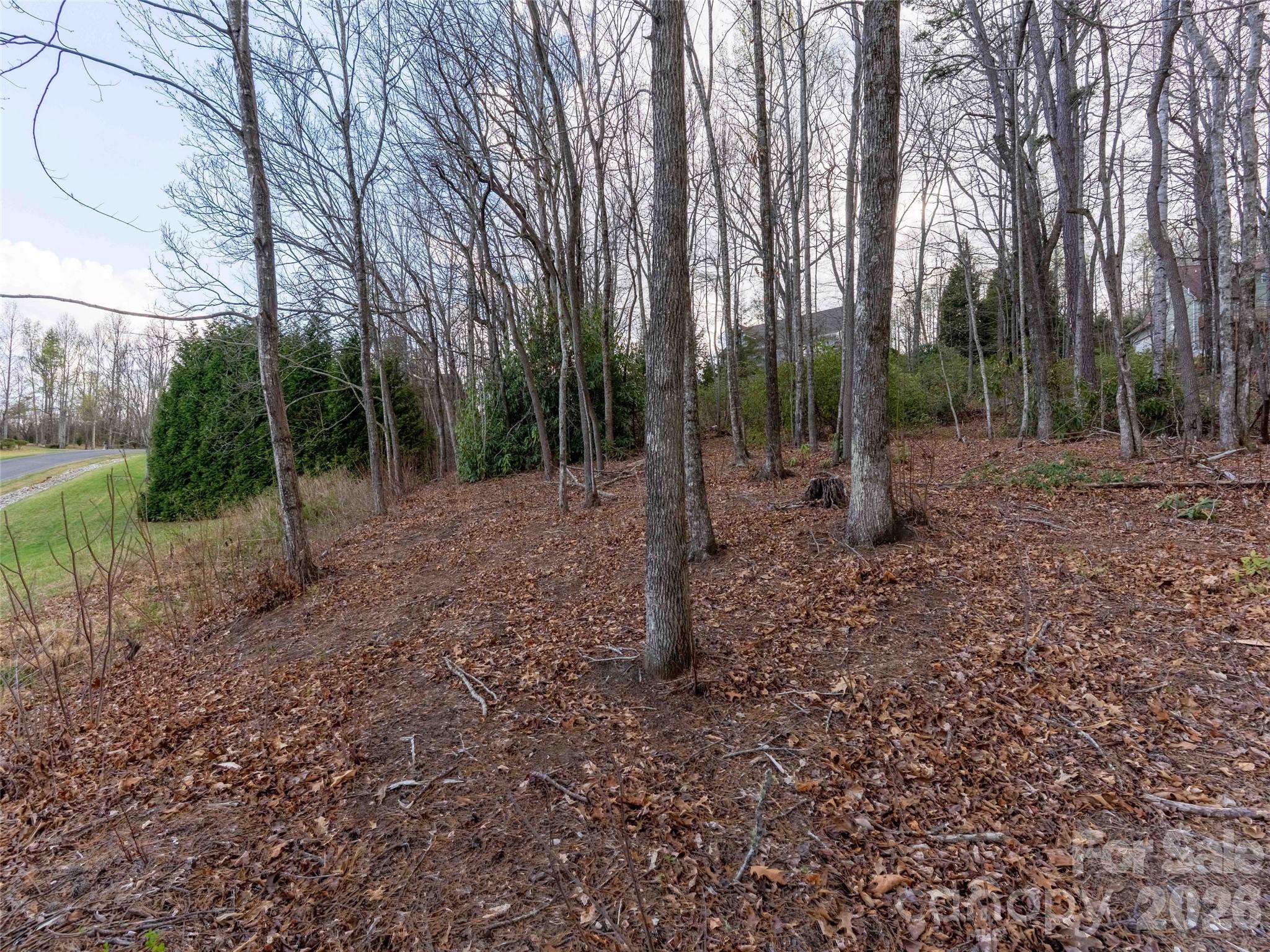 340 Grand Oaks Drive Hendersonville NC 28792