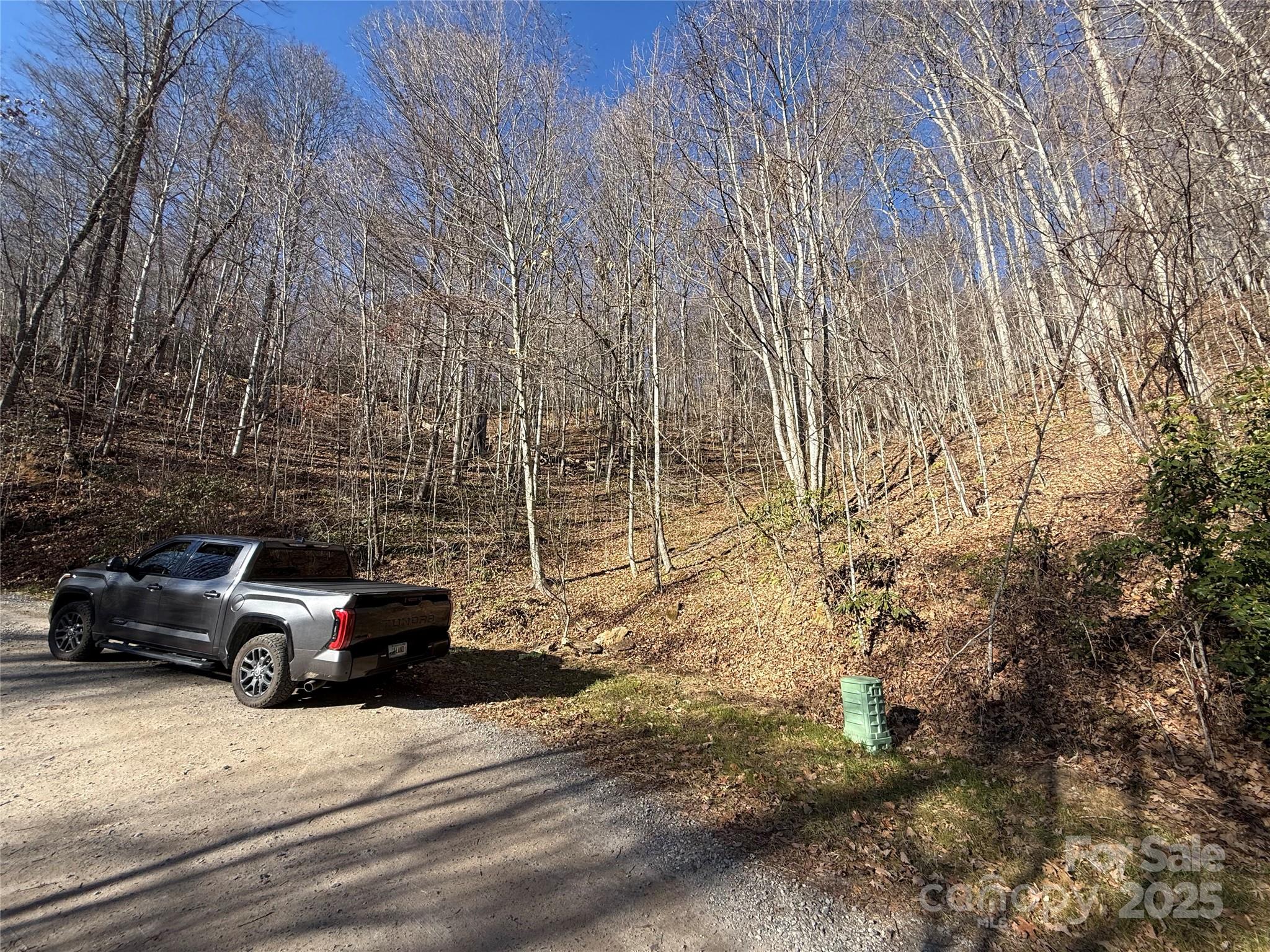 Lot 28 Bernies Trail Waynesville NC 28785