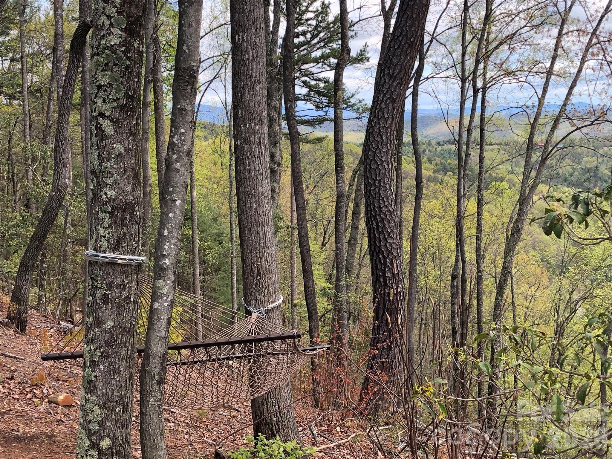 Tbd Casey Mountain Road Purlear NC 28665