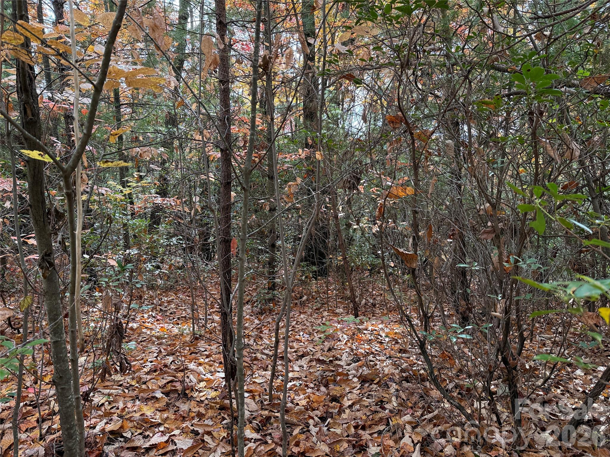 Tbd Casey Mountain Road Purlear NC 28665