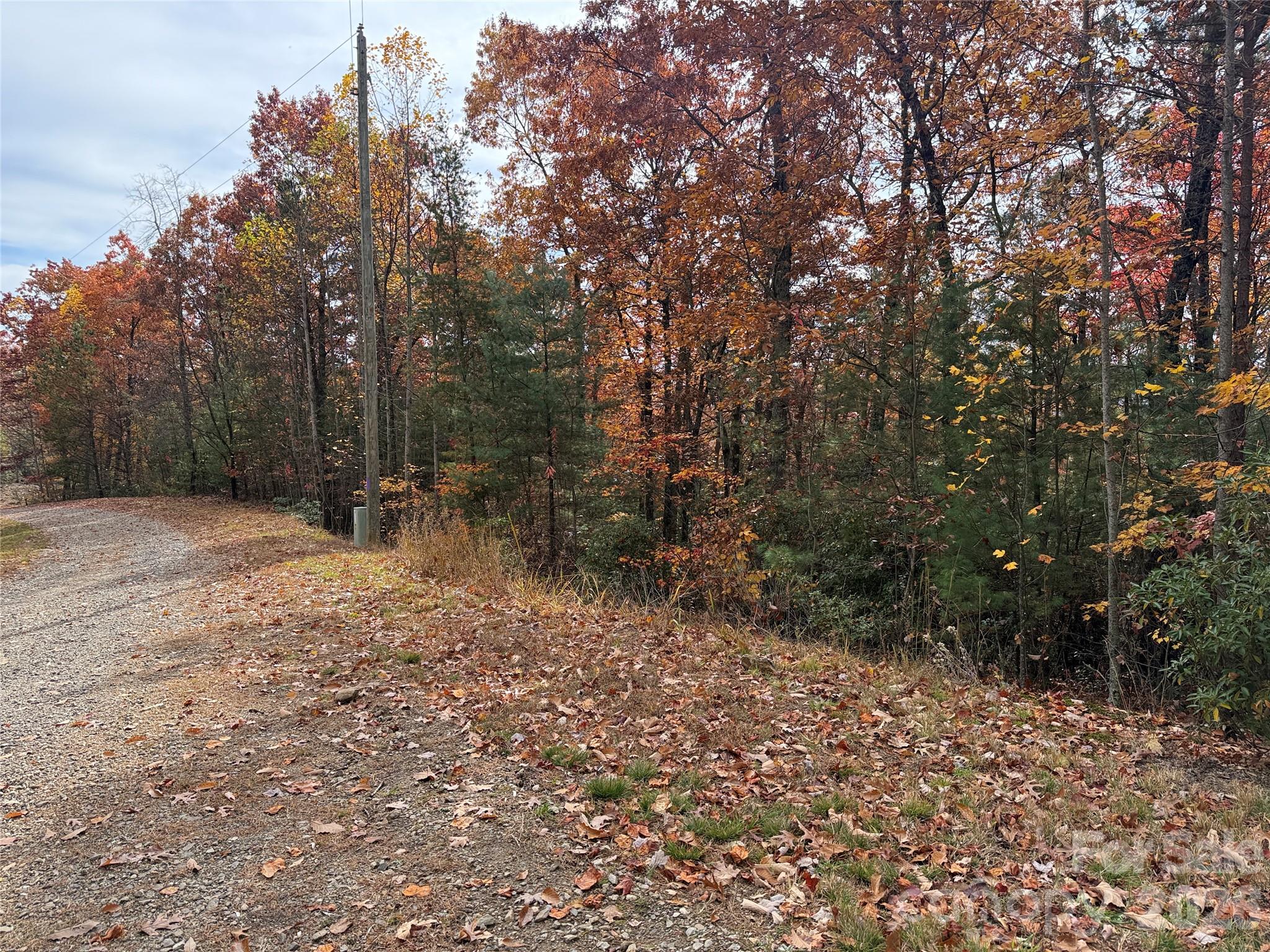 Tbd Casey Mountain Road Purlear NC 28665