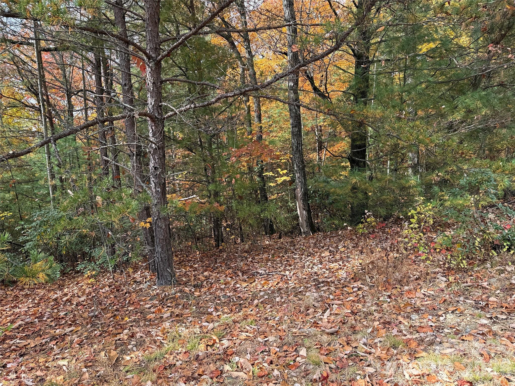 Tbd Casey Mountain Road Purlear NC 28665