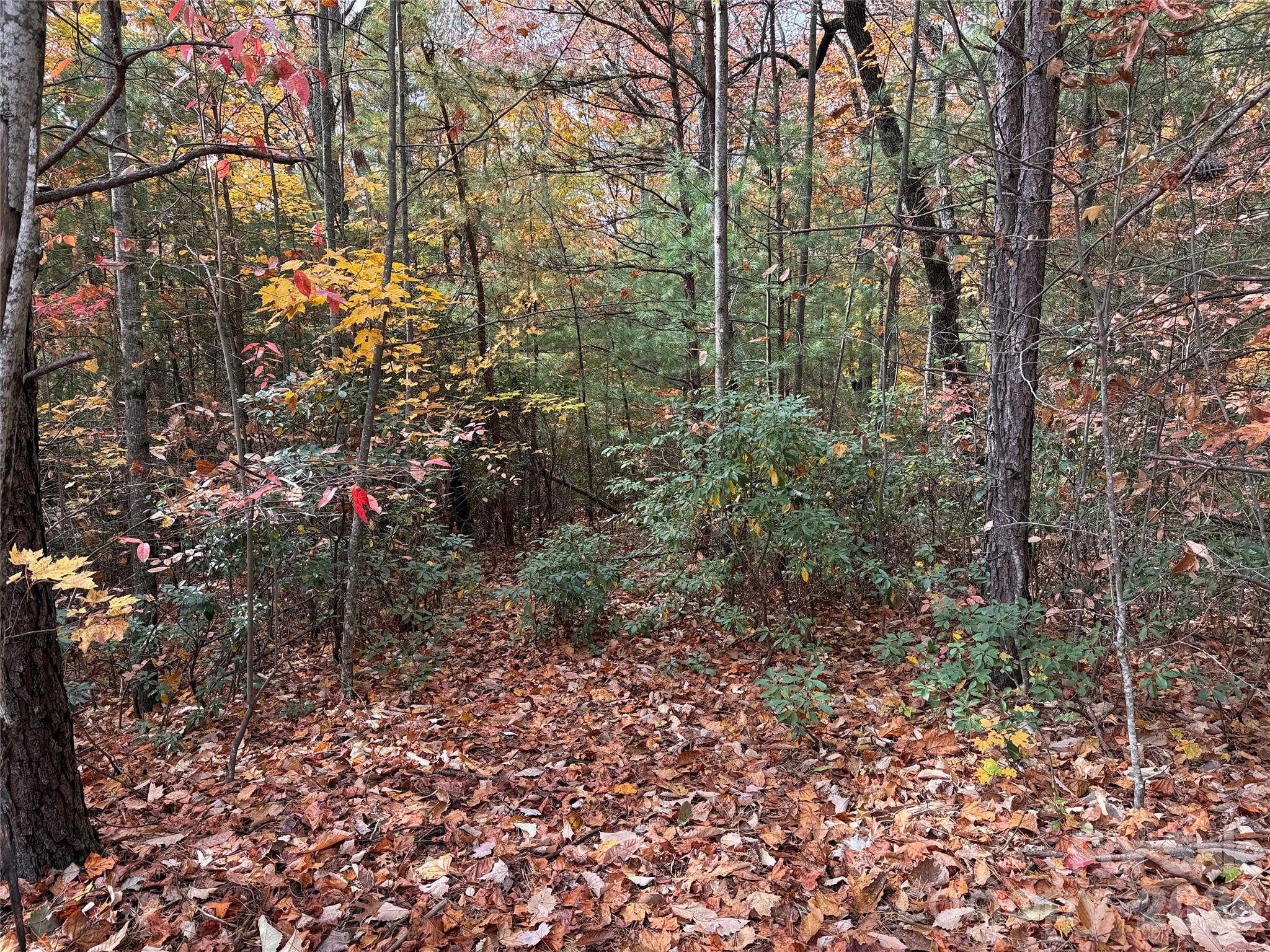 Tbd Casey Mountain Road Purlear NC 28665
