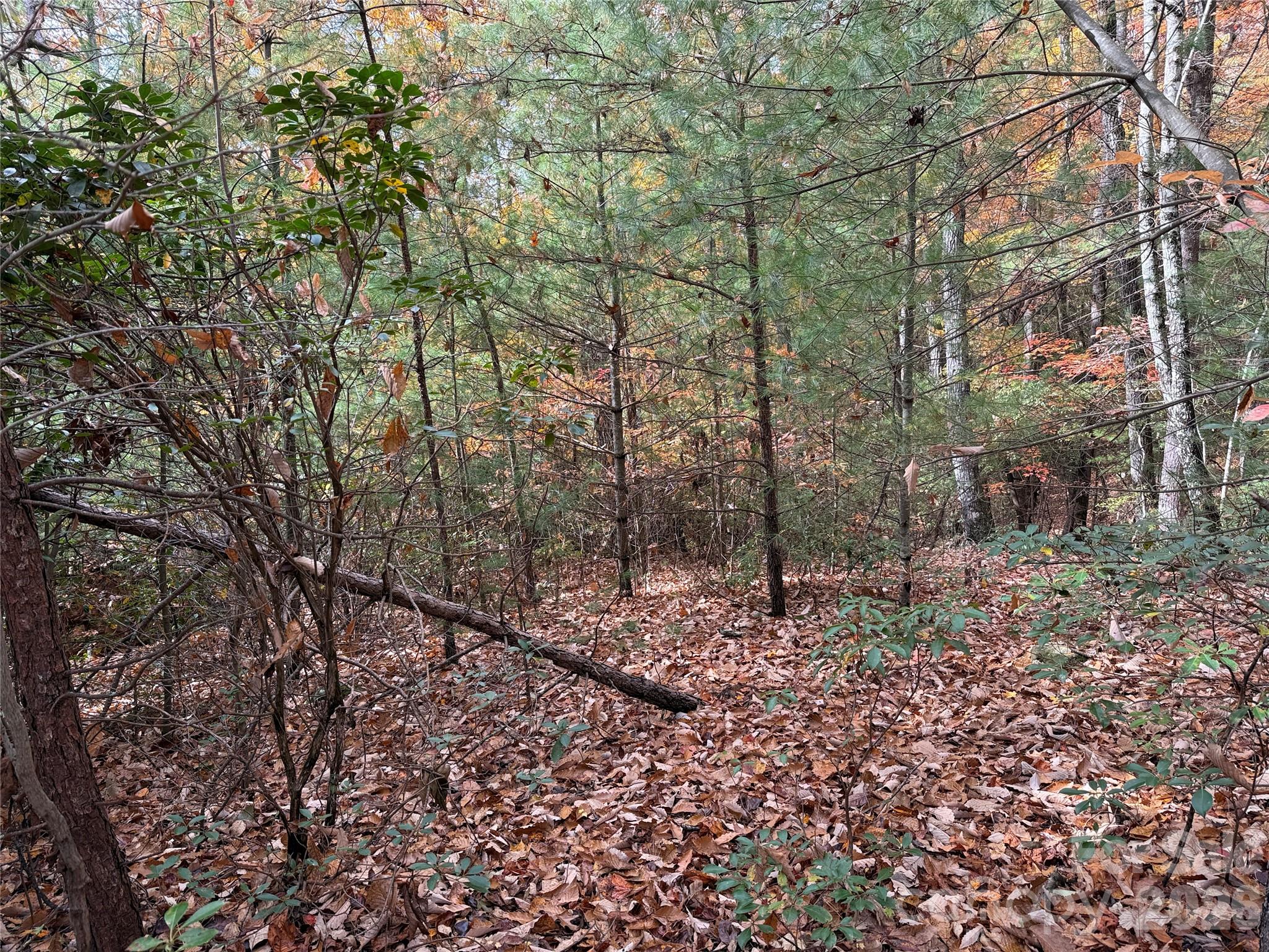 Tbd Casey Mountain Road Purlear NC 28665