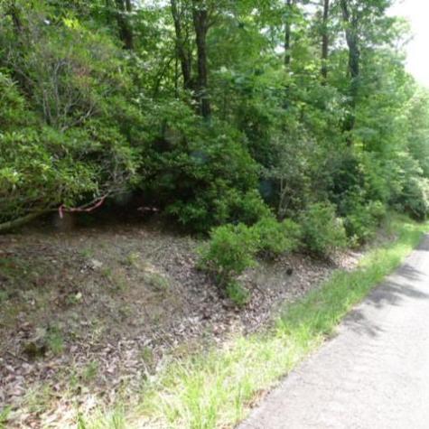 Lot 17 Mountain View Drive Lowgap NC 27024