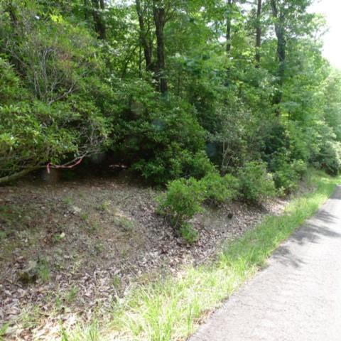 Lot 17 Mountain View Drive Lowgap NC 27024
