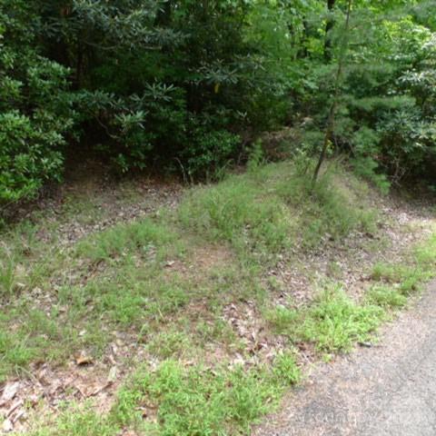 Lot 17 Mountain View Drive Lowgap NC 27024