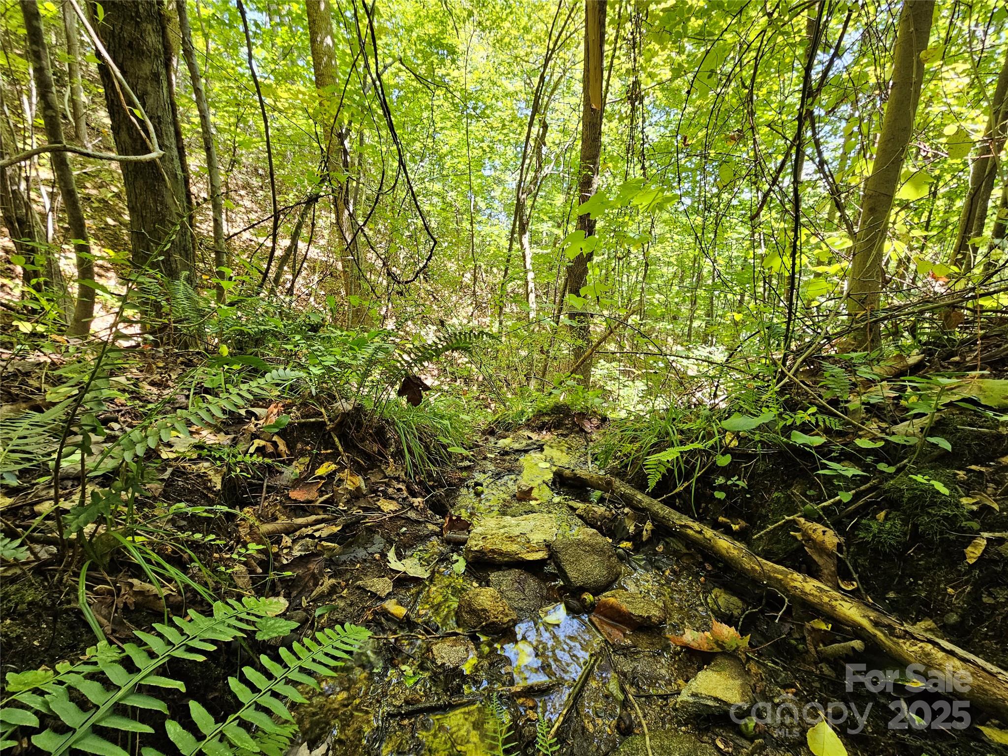 112 Steinwald Trail Waynesville NC 28786