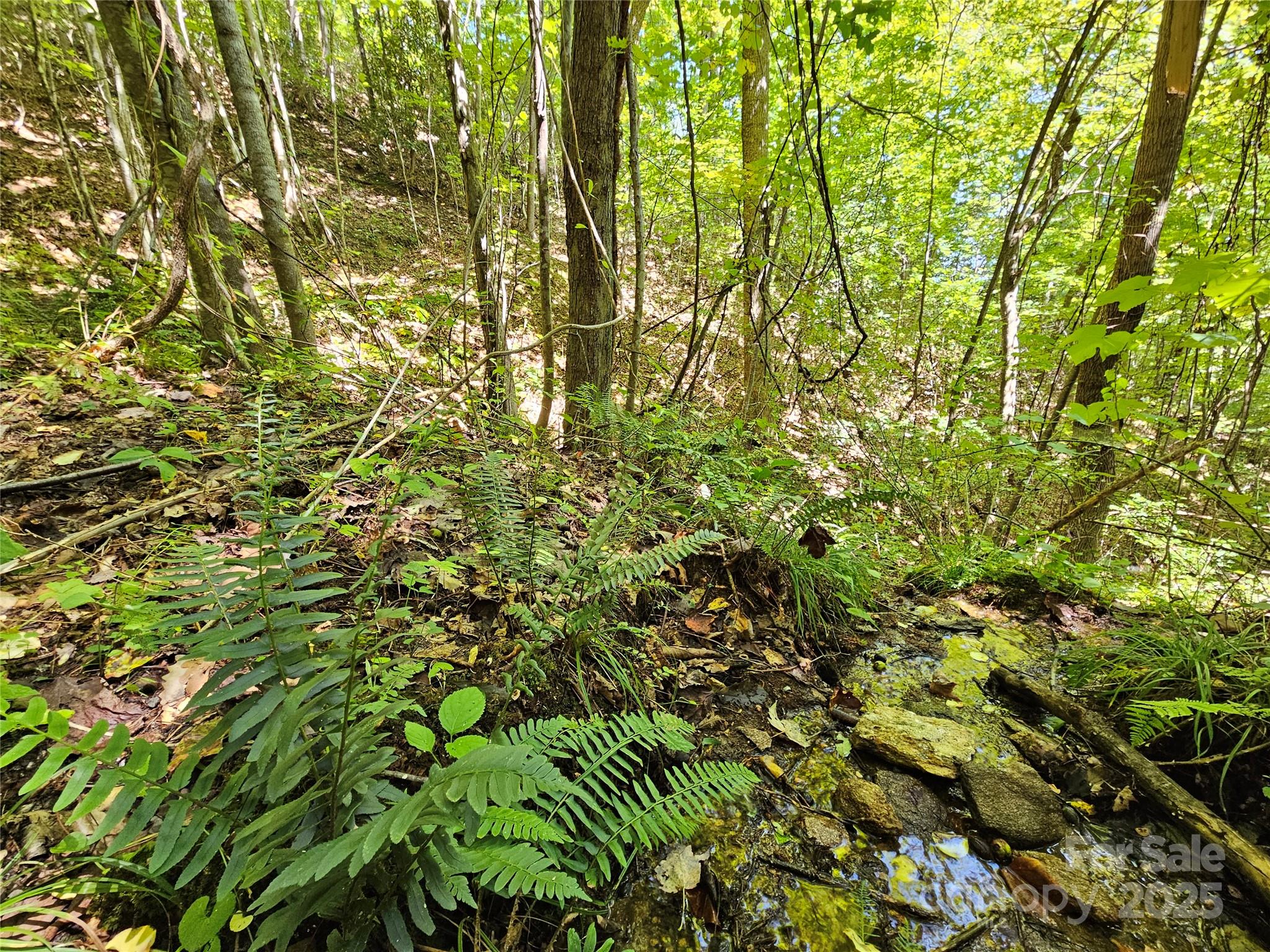 112 Steinwald Trail Waynesville NC 28786