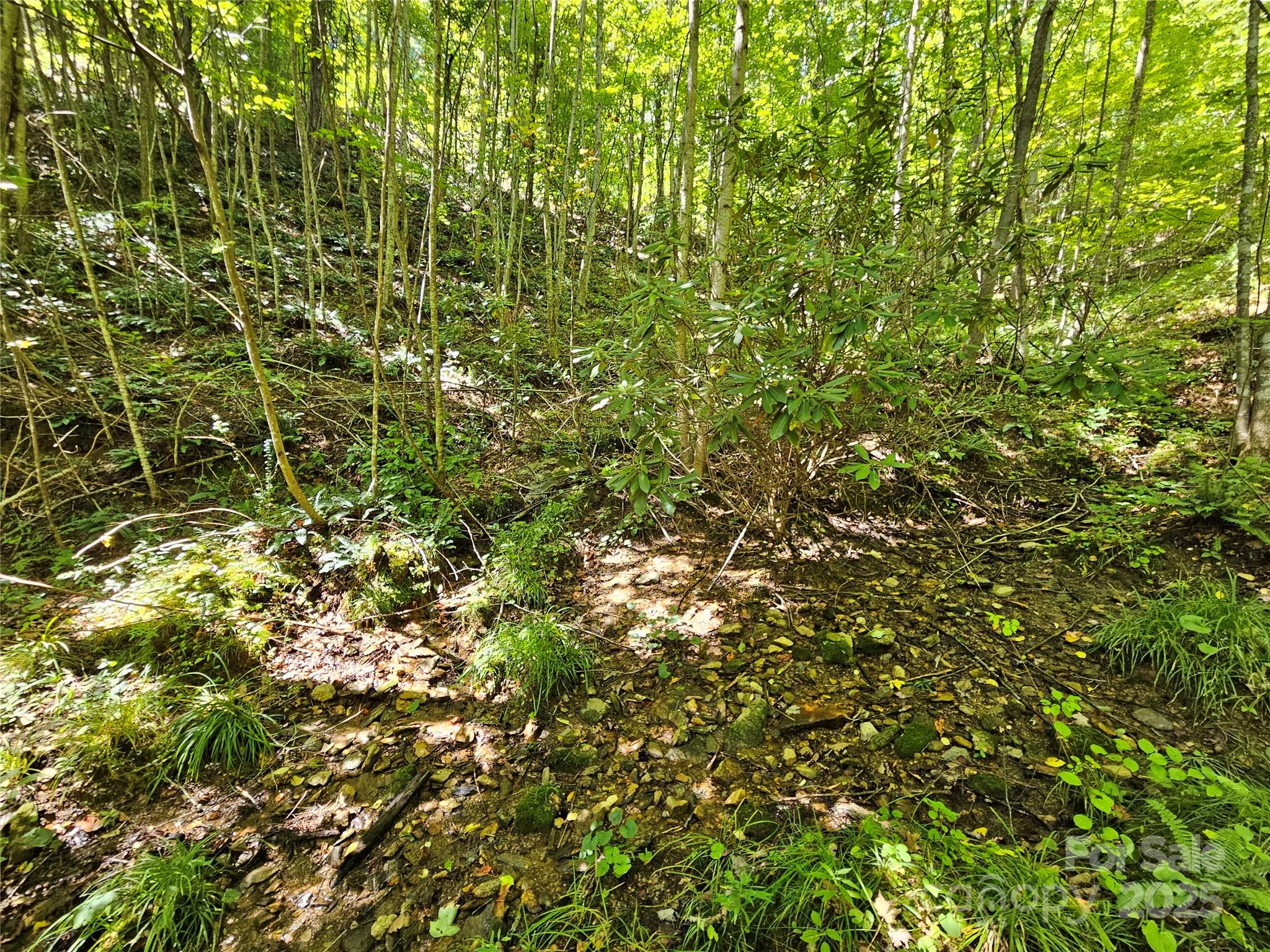 112 Steinwald Trail Waynesville NC 28786