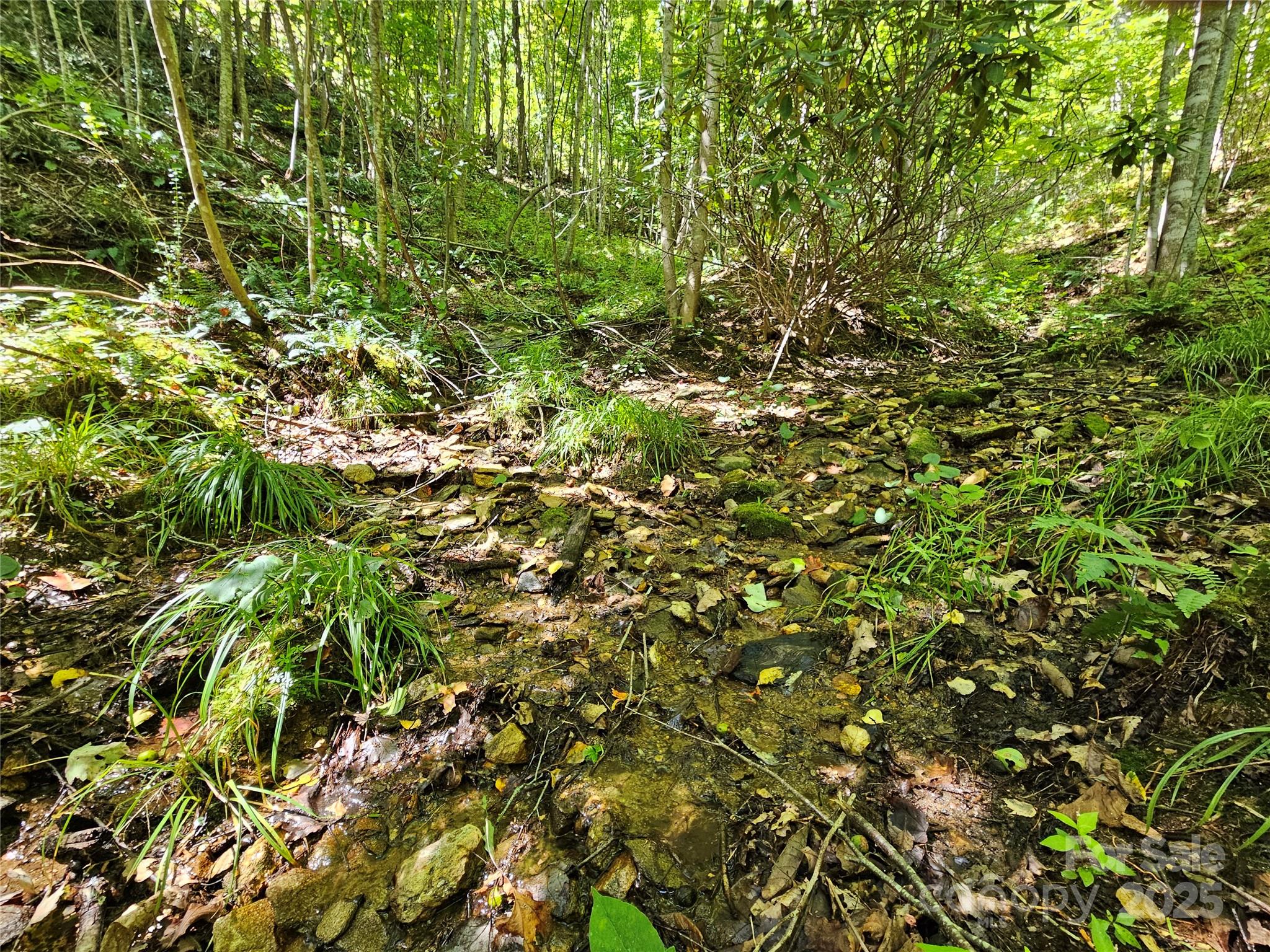 112 Steinwald Trail Waynesville NC 28786