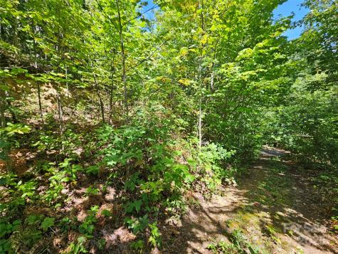 112 Steinwald Trail Waynesville NC 28786