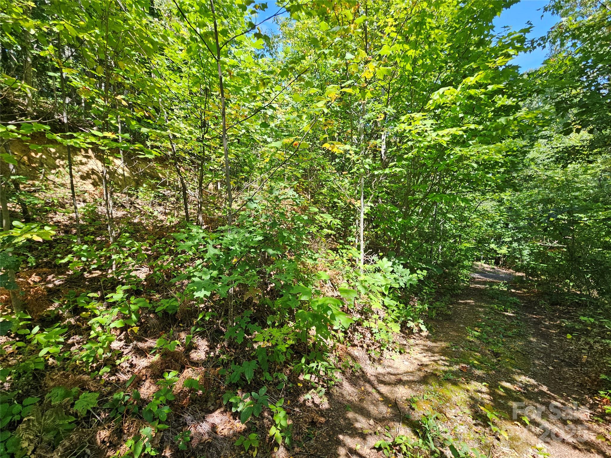 112 Steinwald Trail Waynesville NC 28786