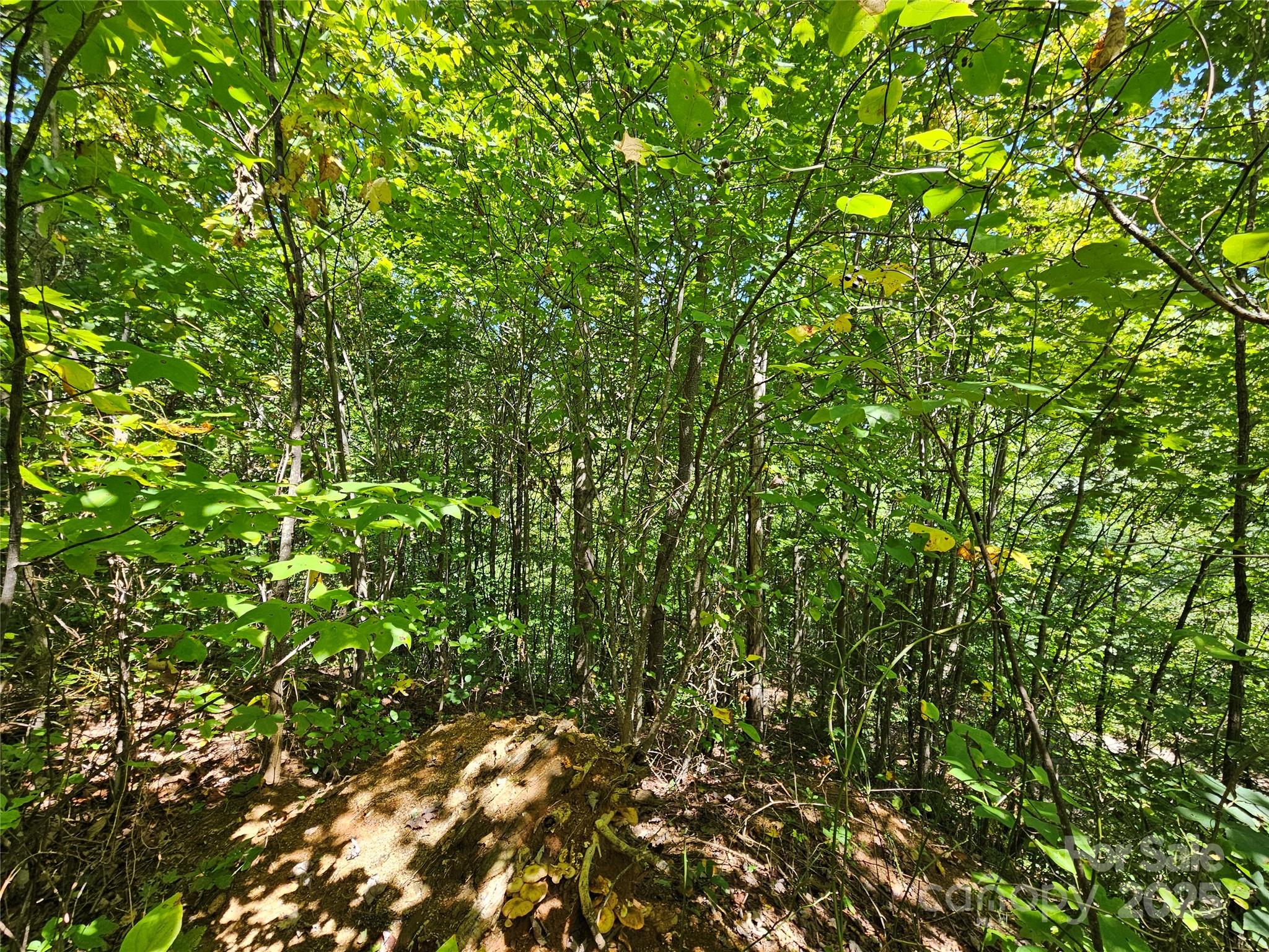 112 Steinwald Trail Waynesville NC 28786