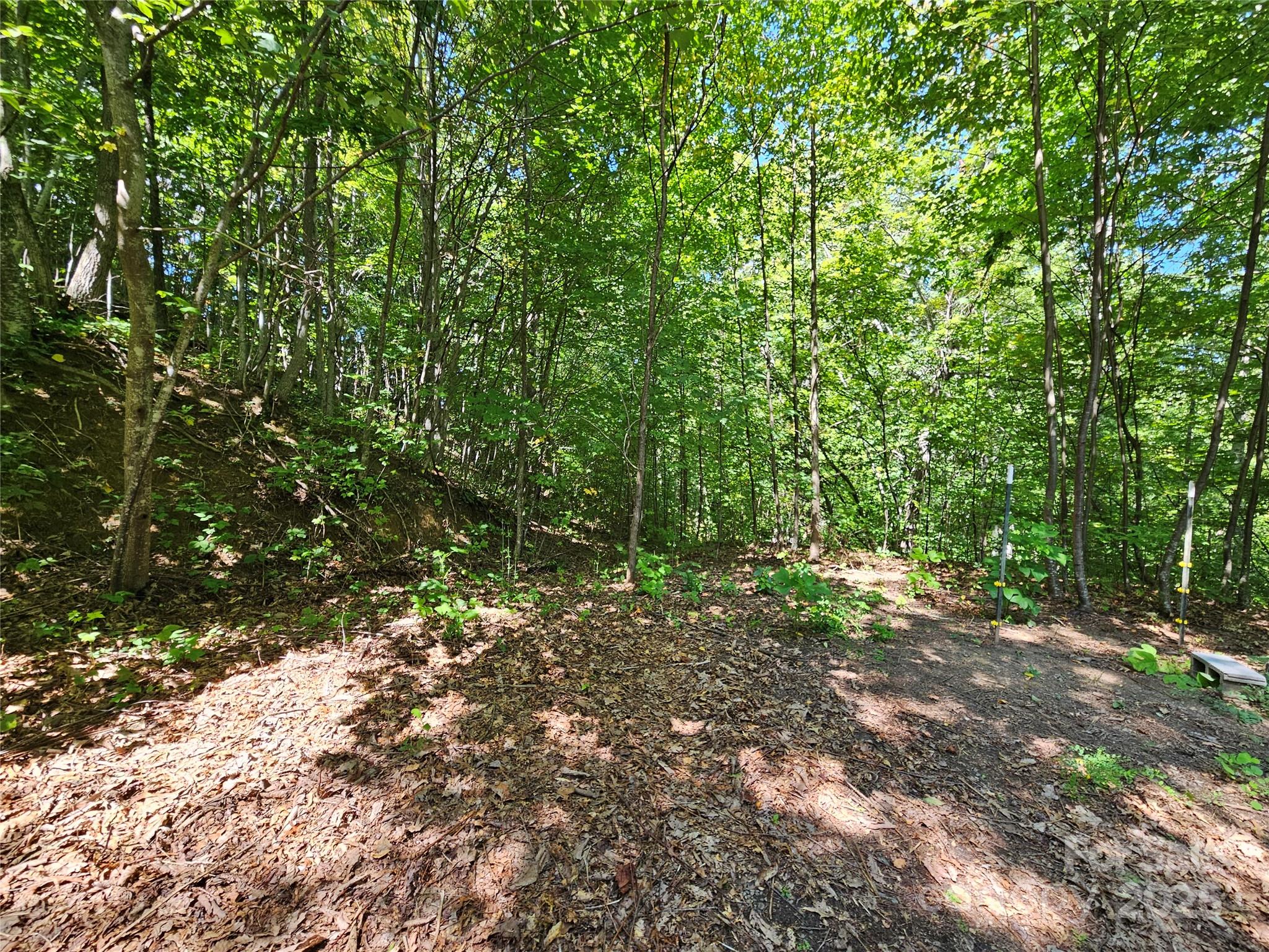 112 Steinwald Trail Waynesville NC 28786