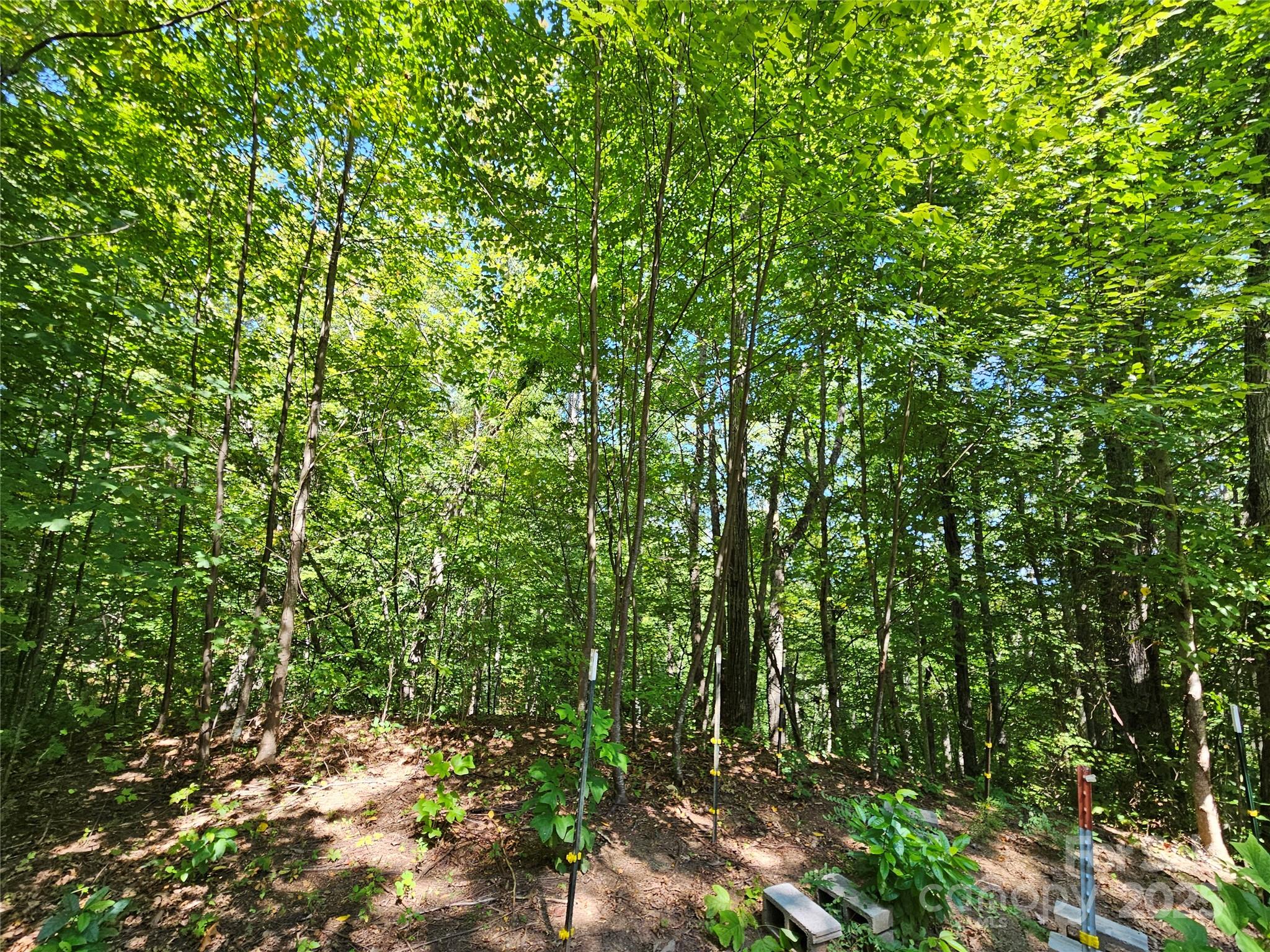 112 Steinwald Trail Waynesville NC 28786