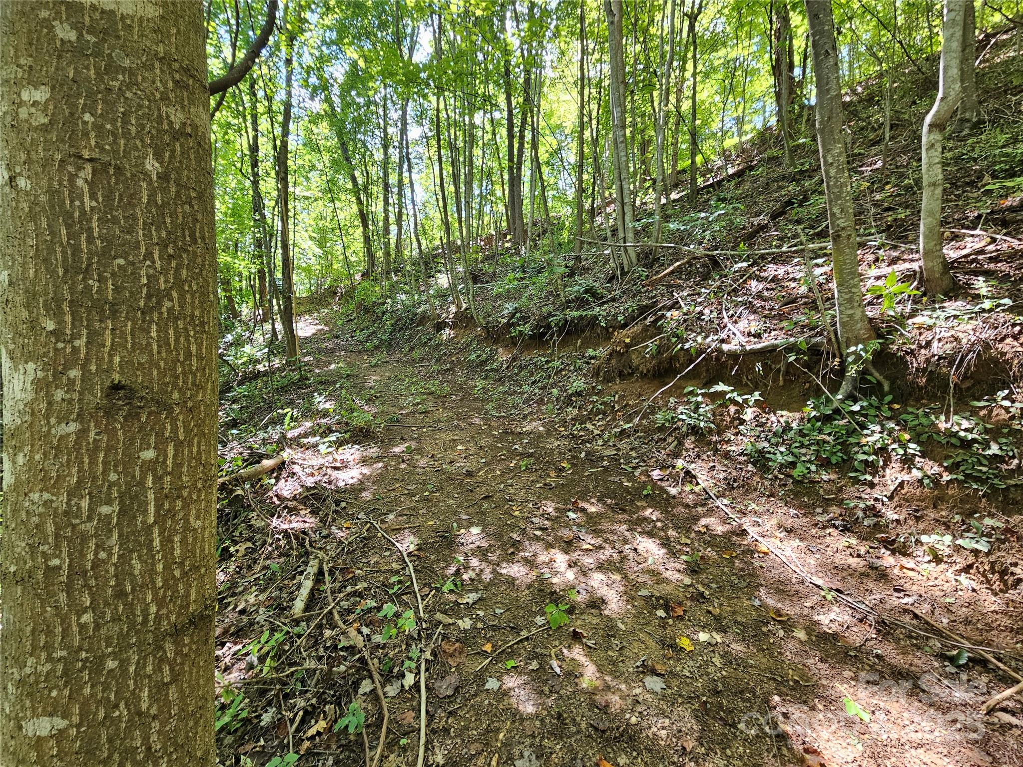 112 Steinwald Trail Waynesville NC 28786