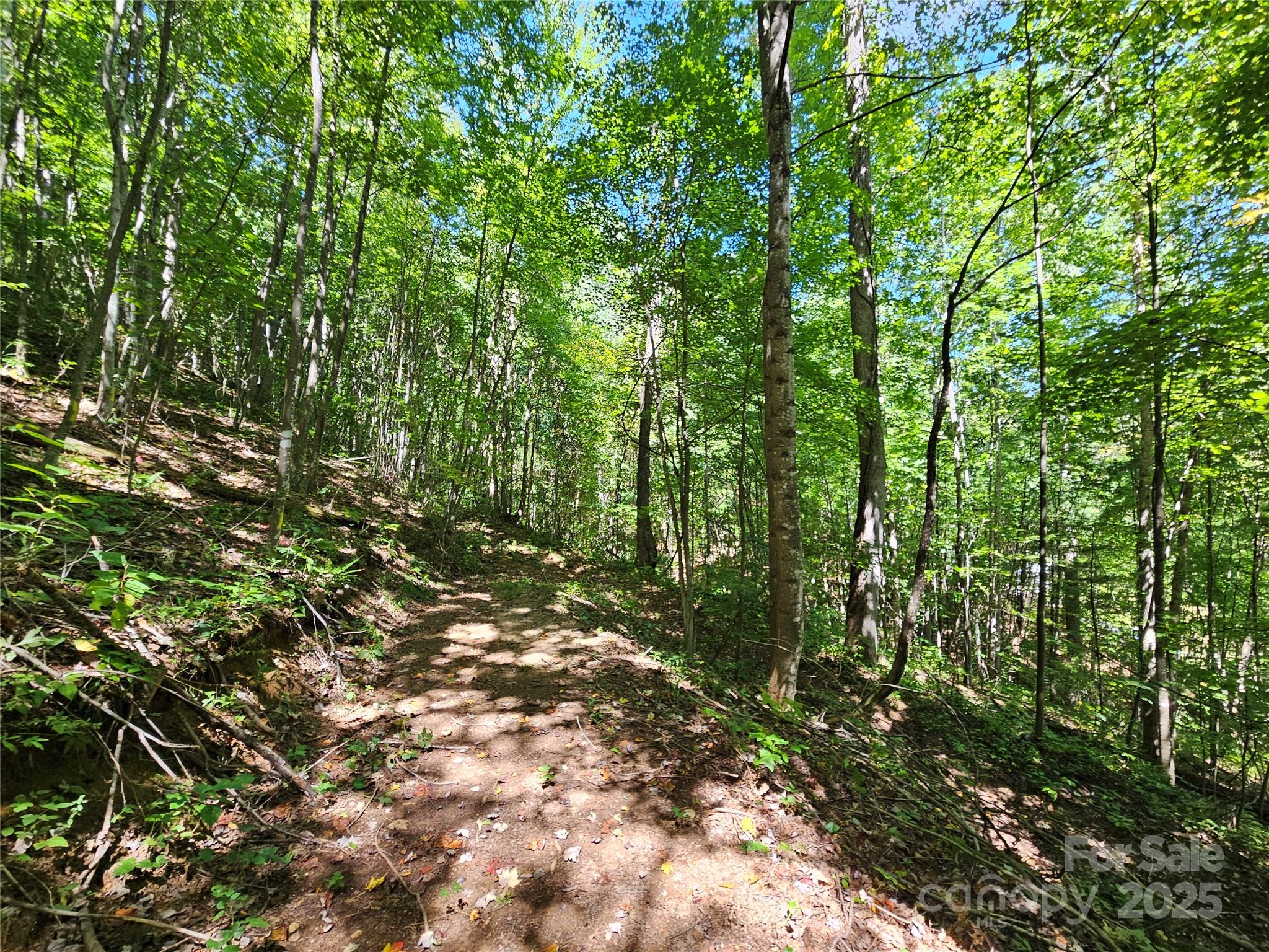 112 Steinwald Trail Waynesville NC 28786