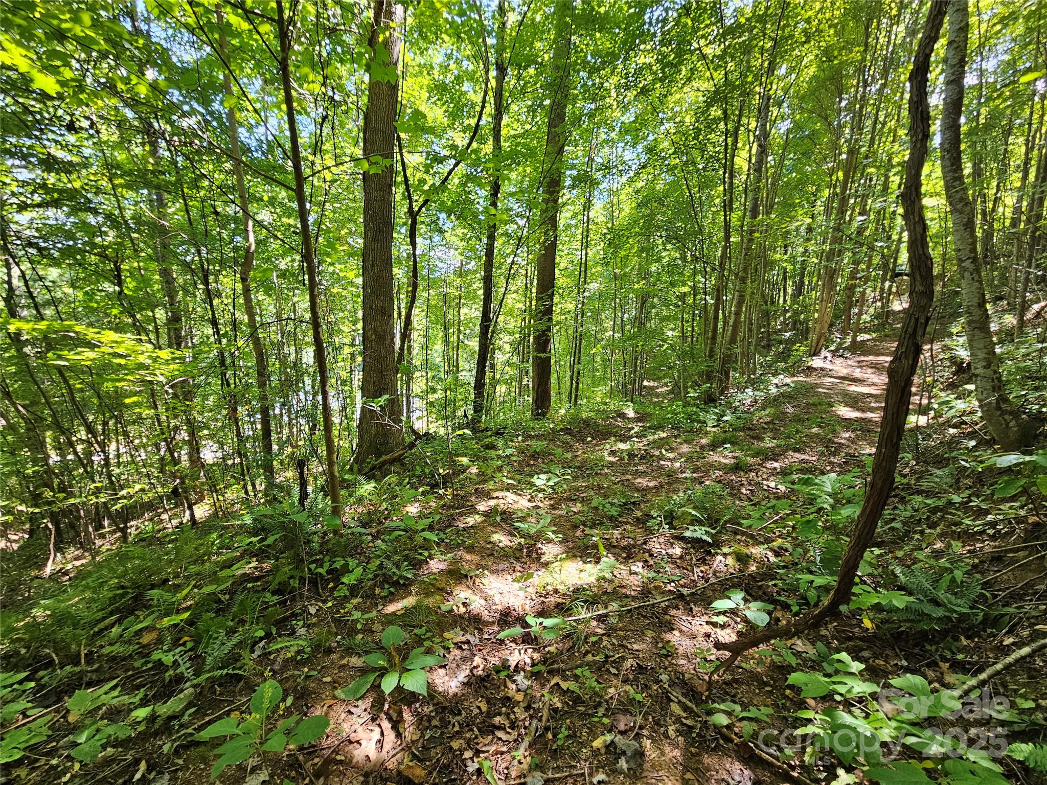 112 Steinwald Trail Waynesville NC 28786