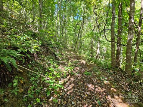 112 Steinwald Trail Waynesville NC 28786