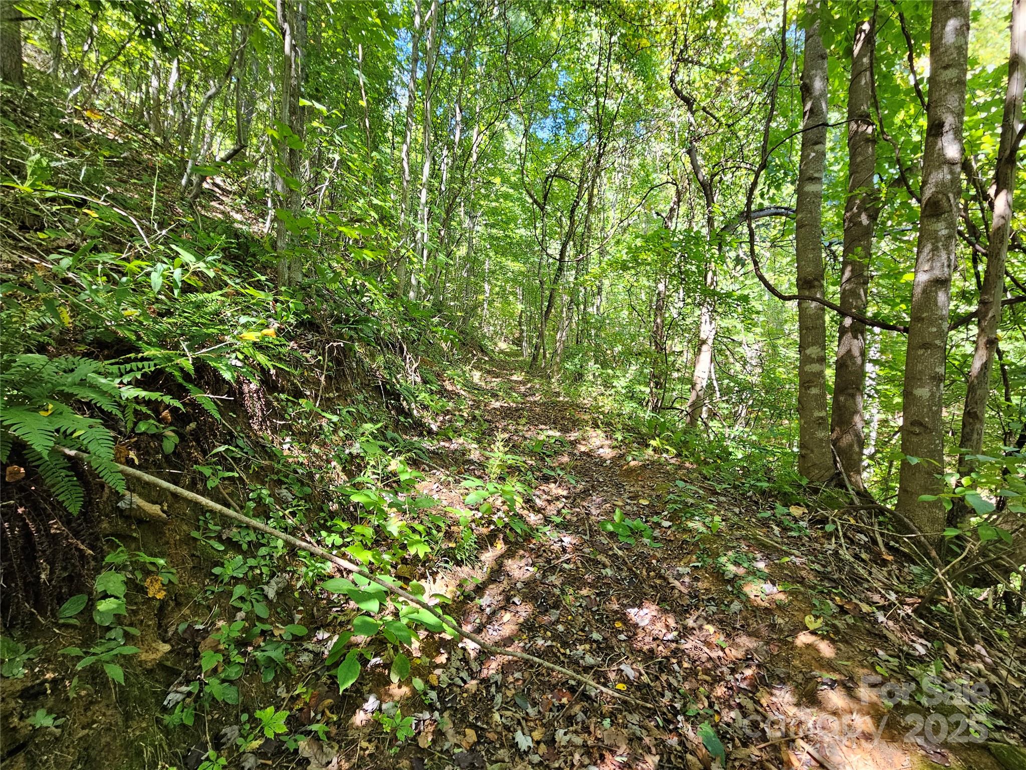 112 Steinwald Trail Waynesville NC 28786