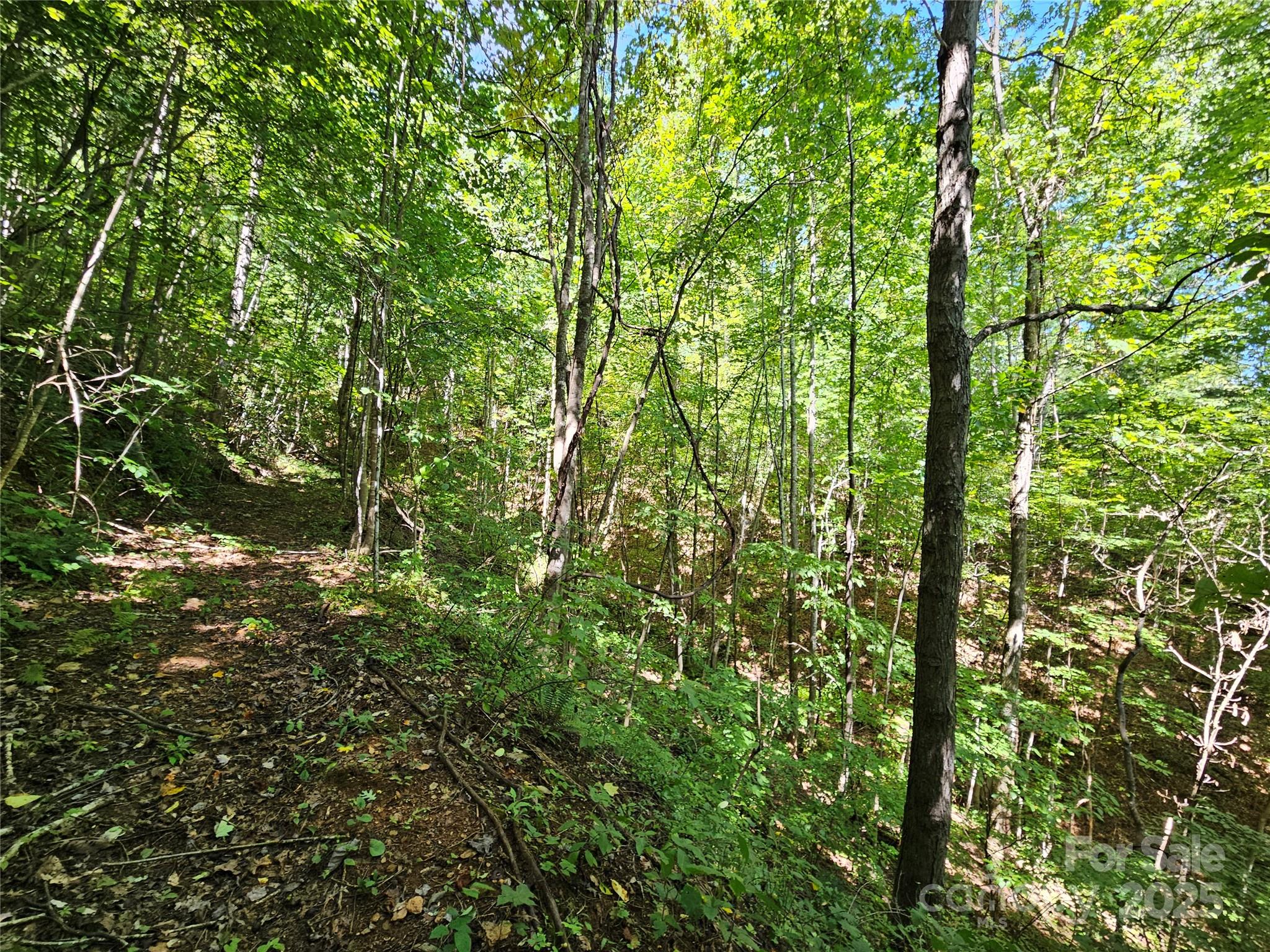 112 Steinwald Trail Waynesville NC 28786