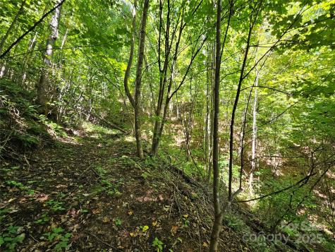 112 Steinwald Trail Waynesville NC 28786