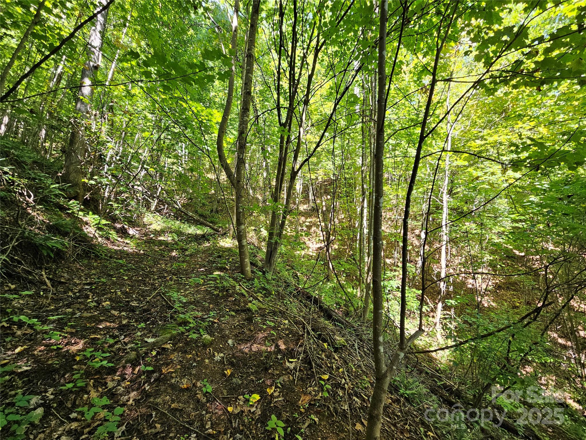 112 Steinwald Trail Waynesville NC 28786