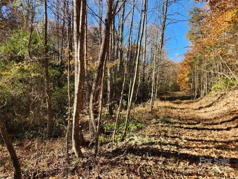701 Moravian Falls Road Wilkesboro NC 28697