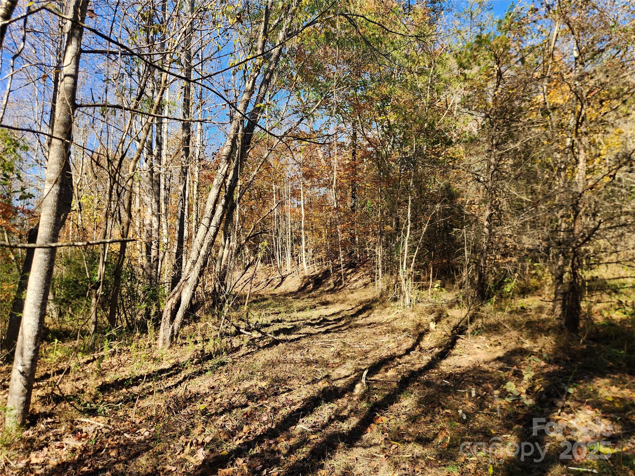 701 Moravian Falls Road Wilkesboro NC 28697