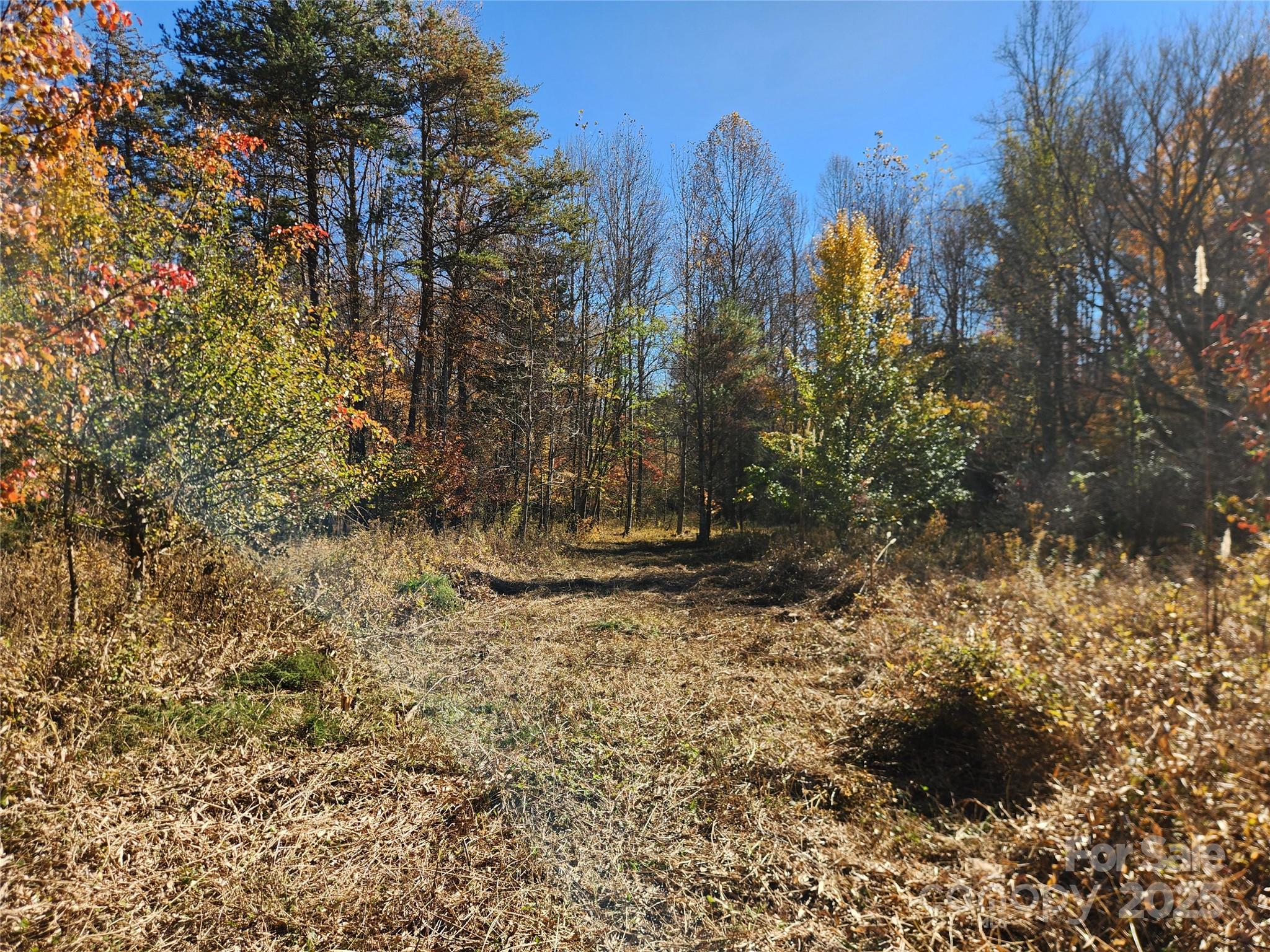 701 Moravian Falls Road Wilkesboro NC 28697
