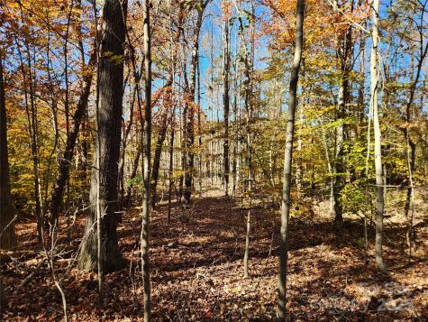 701 Moravian Falls Road Wilkesboro NC 28697