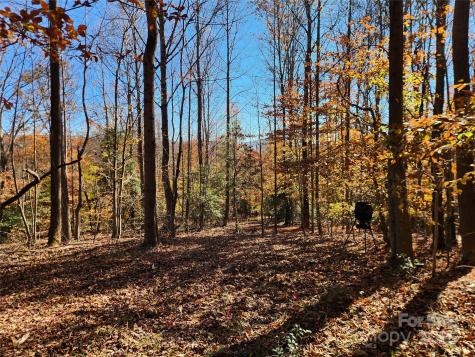 701 Moravian Falls Road Wilkesboro NC 28697