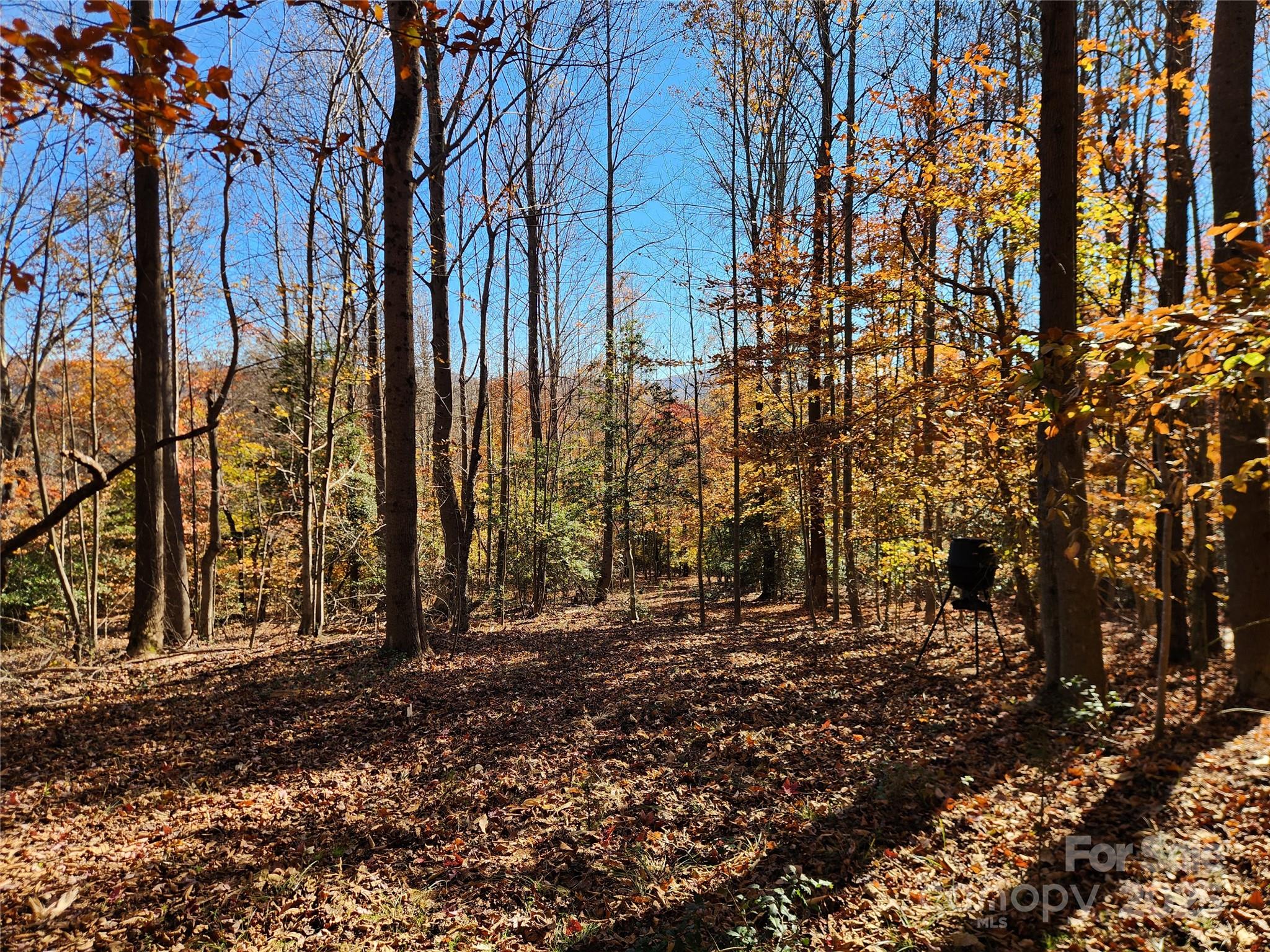 701 Moravian Falls Road Wilkesboro NC 28697