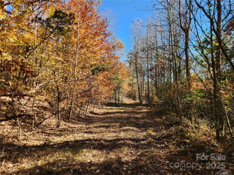 701 Moravian Falls Road Wilkesboro NC 28697