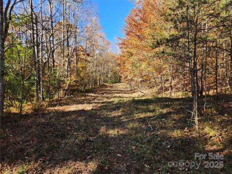 701 Moravian Falls Road Wilkesboro NC 28697